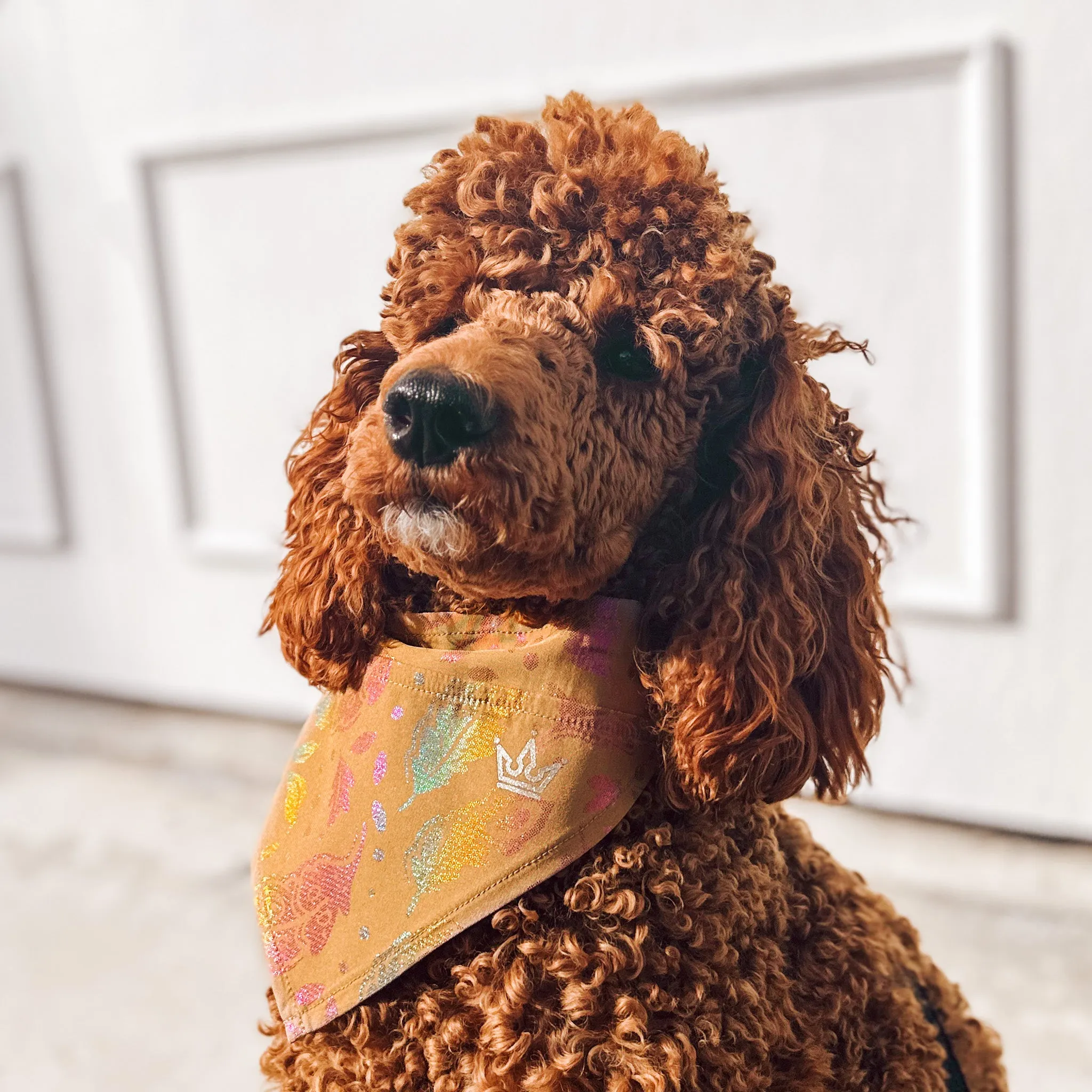 Riverbend Pet Bandana